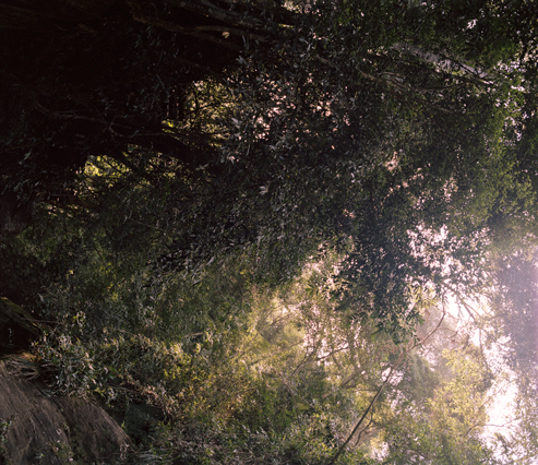 trail